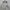 Partimento Casual Harrington jacket Pria white cream photo 3