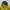 Gorpcore Windbreaker Pria green yellow photo 3