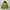 Gorpcore Windbreaker Pria green yellow photo 6