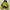 Gorpcore Windbreaker Pria green yellow photo 4