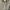 Abercrombie & Fitch Casual Sweater Pria gray photo 2