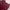 Executive Casual T-shirt Wanita burgundy photo 2