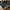Adidas Sportswear Sneakers Pria black gray photo 2
