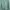 thisisneverthat Streetwear Casual Sweater Pria green photo 1
