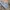 Casual Short Pria blue photo 4