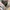 Casual Sweater Wanita pink gray photo 8