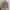 Casual Sweater Wanita pink gray photo 1