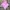 Casual T-shirt Pria pink photo 4