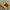 Casual Sweater Pria yellow photo 1