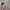 Nike ACG Sportswear Bomber jacket Pria gray photo 3