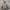 Nike ACG Sportswear Bomber jacket Pria gray photo 1