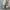 Nike ACG Sportswear Bomber jacket Pria gray photo 5
