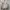 Nike ACG Sportswear Bomber jacket Pria gray photo 2