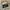 Vans Streetwear Skater Sneakers Pria white black photo 1
