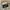 Vans Streetwear Skater Sneakers Pria White Black
