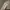 Nike Streetwear Sportswear Sweater Pria cream photo 3