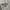 Reebok Casual Sweater Pria gray photo 3