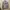 Reebok Casual Sweater Pria gray photo 1