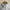 Lululemon Sportswear Track jacket Wanita white cream photo 3