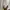 Lululemon Sportswear Track jacket Wanita white cream photo 8
