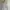 Lululemon Sportswear Track jacket Wanita white cream photo 1