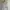 Lululemon Sportswear Track Jacket Wanita White Cream