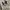 Under Armour Casual Sweater Pria white gray photo 3