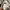 Under Armour Casual Sweater Pria white gray photo 5