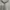 Sportswear Jersey Wanita white photo 3