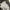 Under Armour Casual Sweater Pria gray photo 5