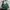 Kipling Vintage Y2K Backpack Wanita green photo 4