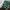 Kipling Vintage Y2K Backpack Wanita green photo 2