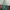 Kipling Vintage Y2K Backpack Wanita green photo 3