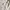 Japanese brand Y2K Coquette Blouse Wanita tan gray photo 5