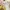 Japanese brand Y2K Coquette Blouse Wanita tan gray photo 7
