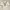 Japanese brand Y2K Coquette Blouse Wanita tan gray photo 2