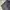 Polo Ralph Lauren Vintage Y2K Pria gray photo 5