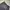 Polo Ralph Lauren Vintage Y2K Pria gray photo 4