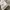 Nike Air Jordan Streetwear Sportswear Hoody Pria white photo 4
