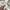 Neighborhood Vintage Streetwear Sweatshirt Pria gray photo 7
