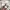 Neighborhood Vintage Streetwear Sweatshirt Pria gray photo 6
