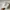 New Era Luxury Casual Hat Pria white photo 2