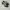 Adidas Casual Sneakers Wanita multicolor photo 2