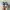 Puma Casual Sneakers Wanita multicolor photo 5