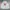 Converse Casual Windbreaker Pria white red photo 1