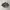 Salomon Gorpcore Sneakers Pria Multicolor