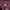 Champion Streetwear Casual Hoody Pria burgundy photo 3
