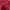 Carhartt Streetwear T-shirt Pria Red
