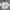 Casual Windbreaker Pria white photo 4