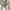 Y2K Biker Leather jacket Pria gray photo 3